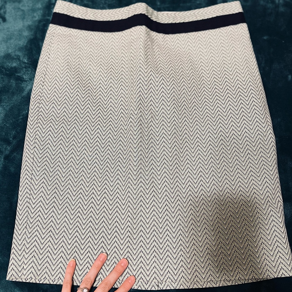 The Limited Skirt